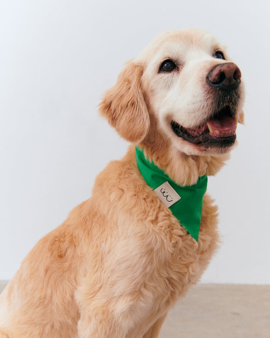 Bandana - Green