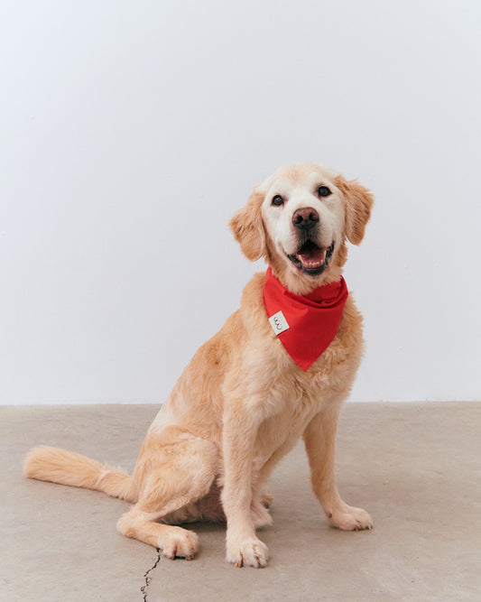 Bandana - Red