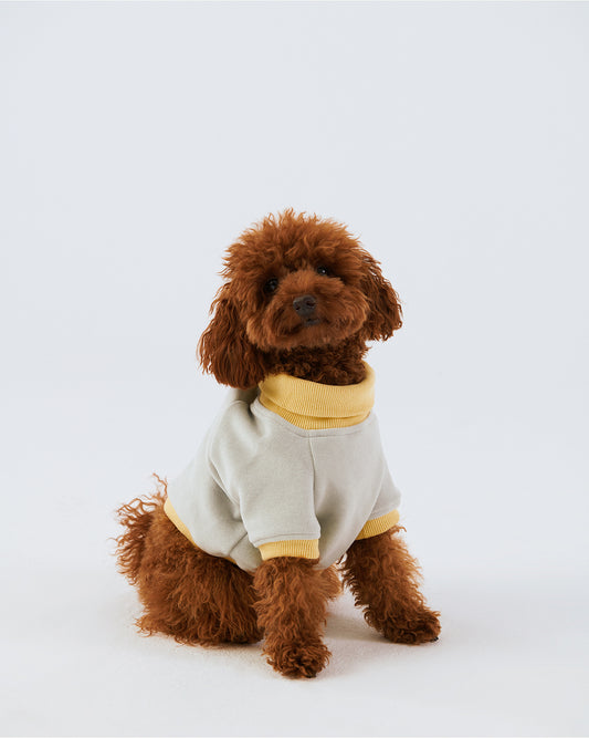 Köpek Sweatshirt - Taş Grisi/Soluk Sarı