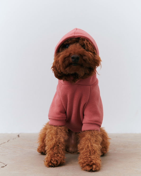 SuperSoft Köpek Hoodie - Kahverengi