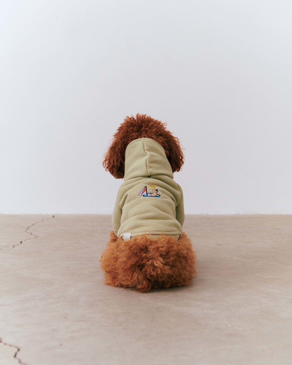 Bruno Flow Köpek Hoodie - Green Tea