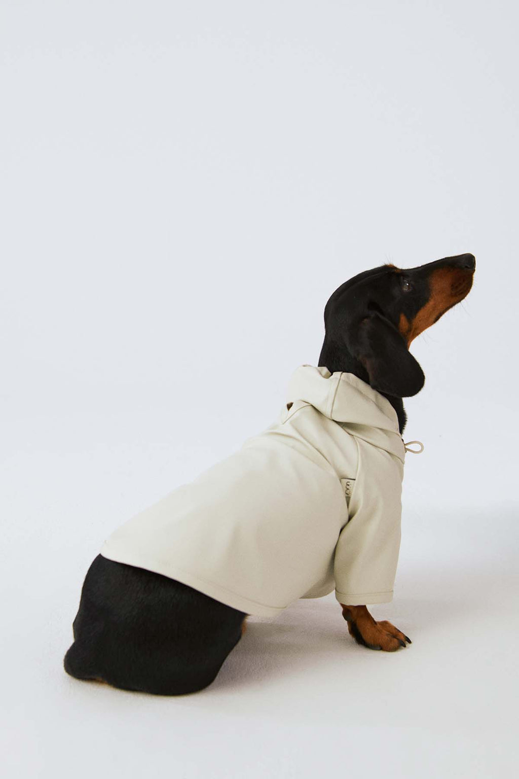 Köpek Yağmurluk - Kar Beyazı - Bruno Society