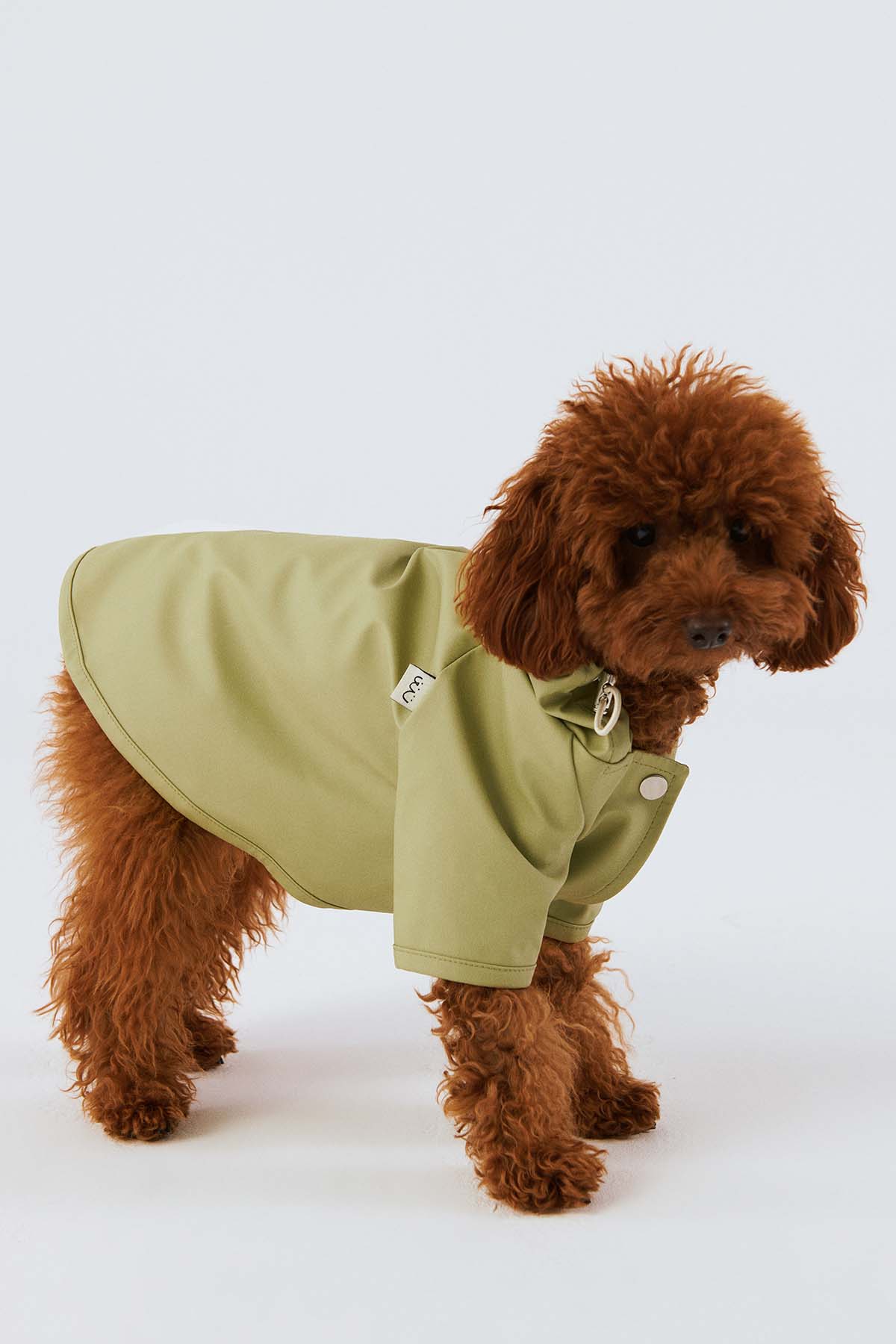 Köpek Yağmurluk - Yosun Yeşili - Bruno Society