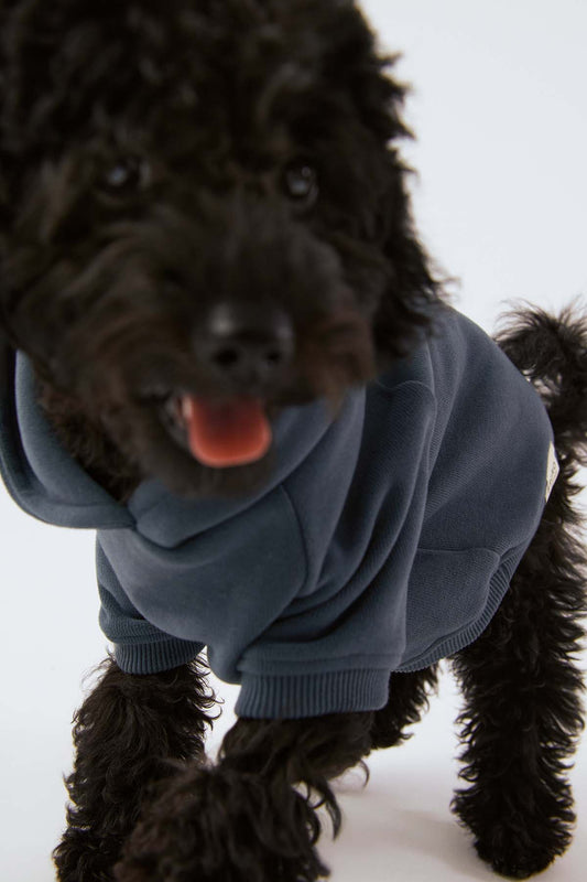 Köpek Hoodie - Ufuk Mavisi - Bruno Society