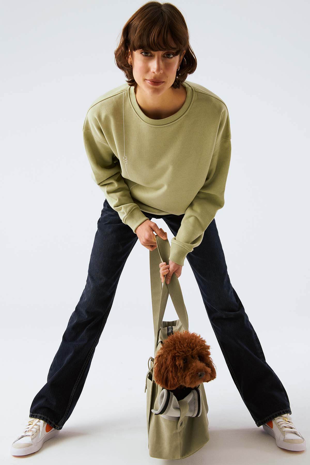 Köpek Taşıma Çantası - Sis Yeşili - Bruno Society