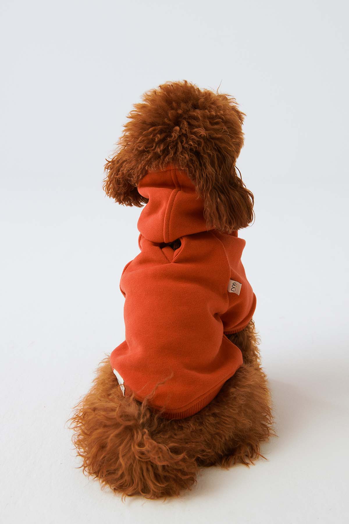 Köpek Hoodie - Açık Kırmızı - Bruno Society