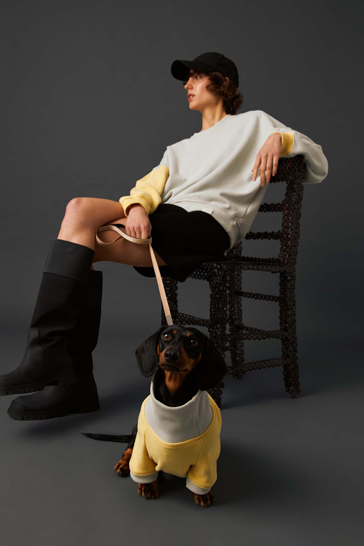 Köpek Sweatshirt - Soluk Sarı/Taş Grisi - Bruno Society