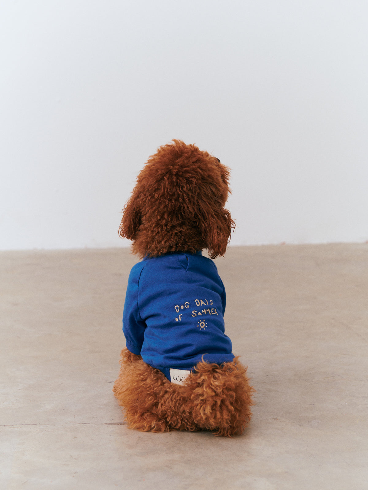 Days Dog T-shirt - Blue