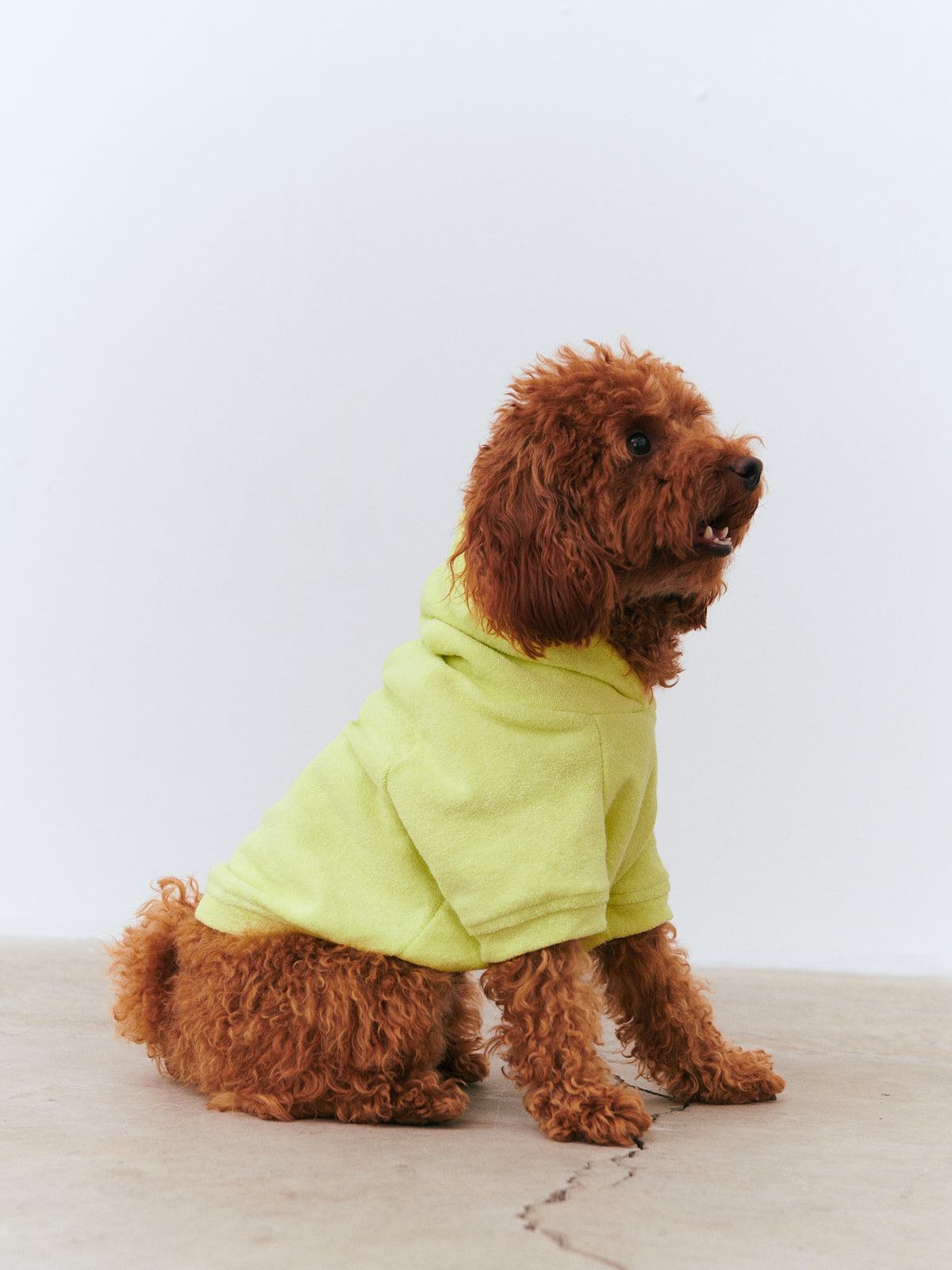 Köpek Havlu Hoodie - Lime