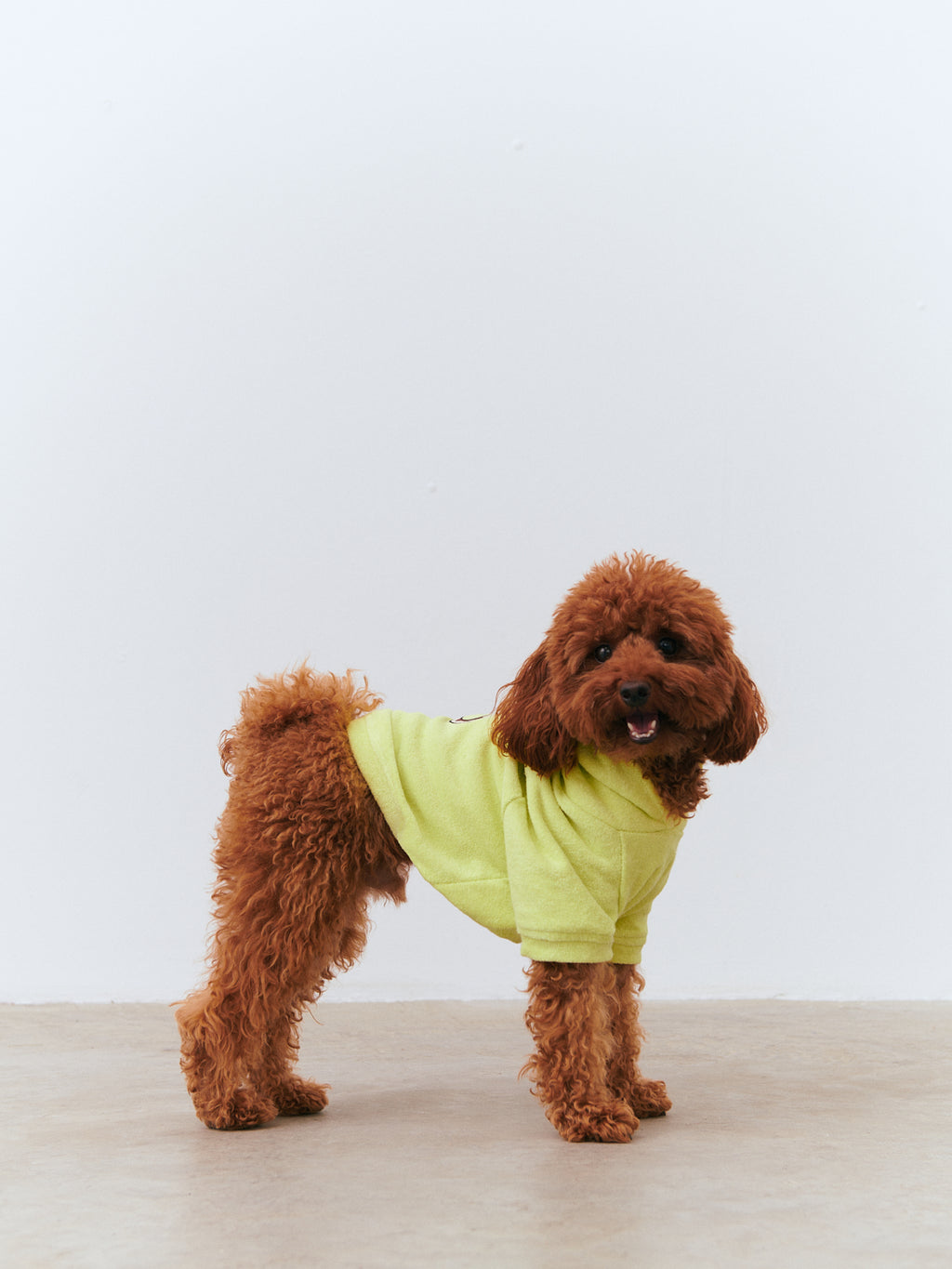 Köpek Havlu Hoodie - Lime