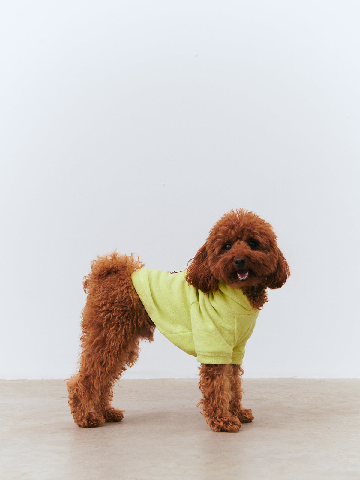 Köpek Havlu Hoodie - Lime