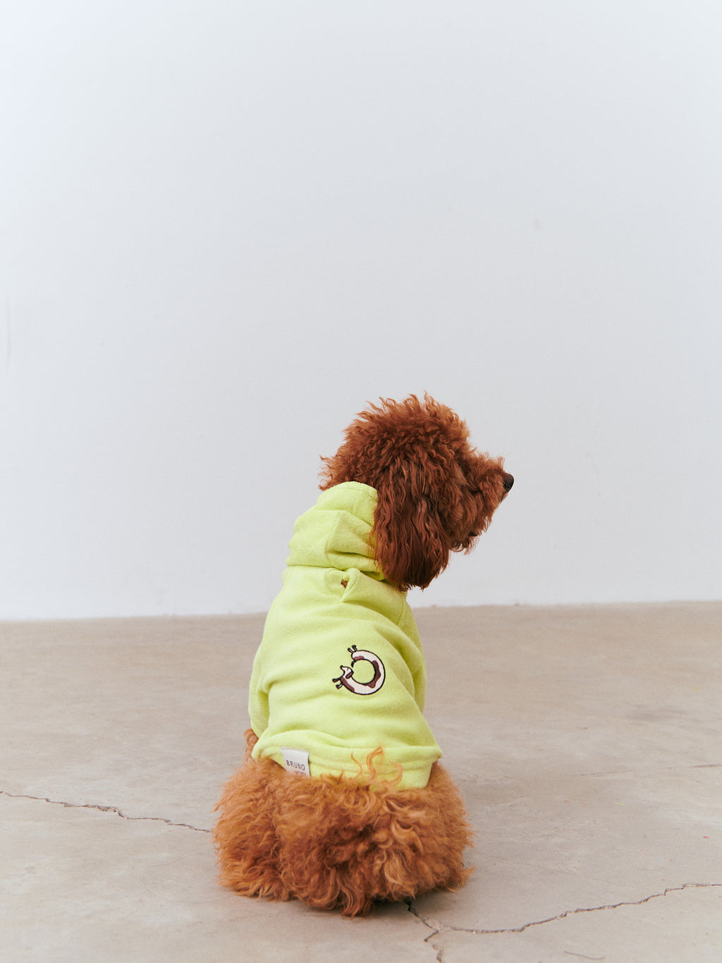 Köpek Havlu Hoodie - Lime