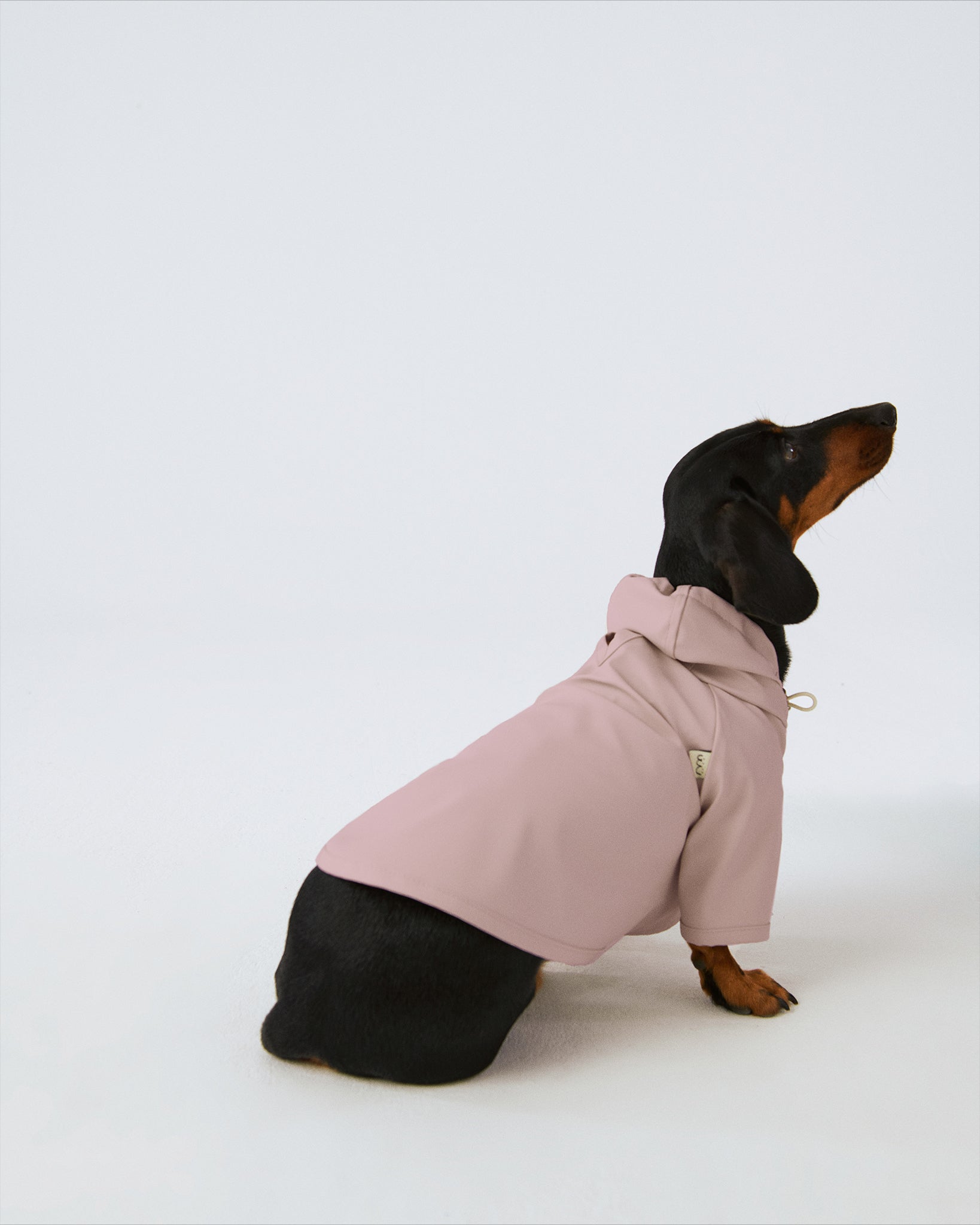 Bruno Signature Köpek Yağmurluk - Blush Pink