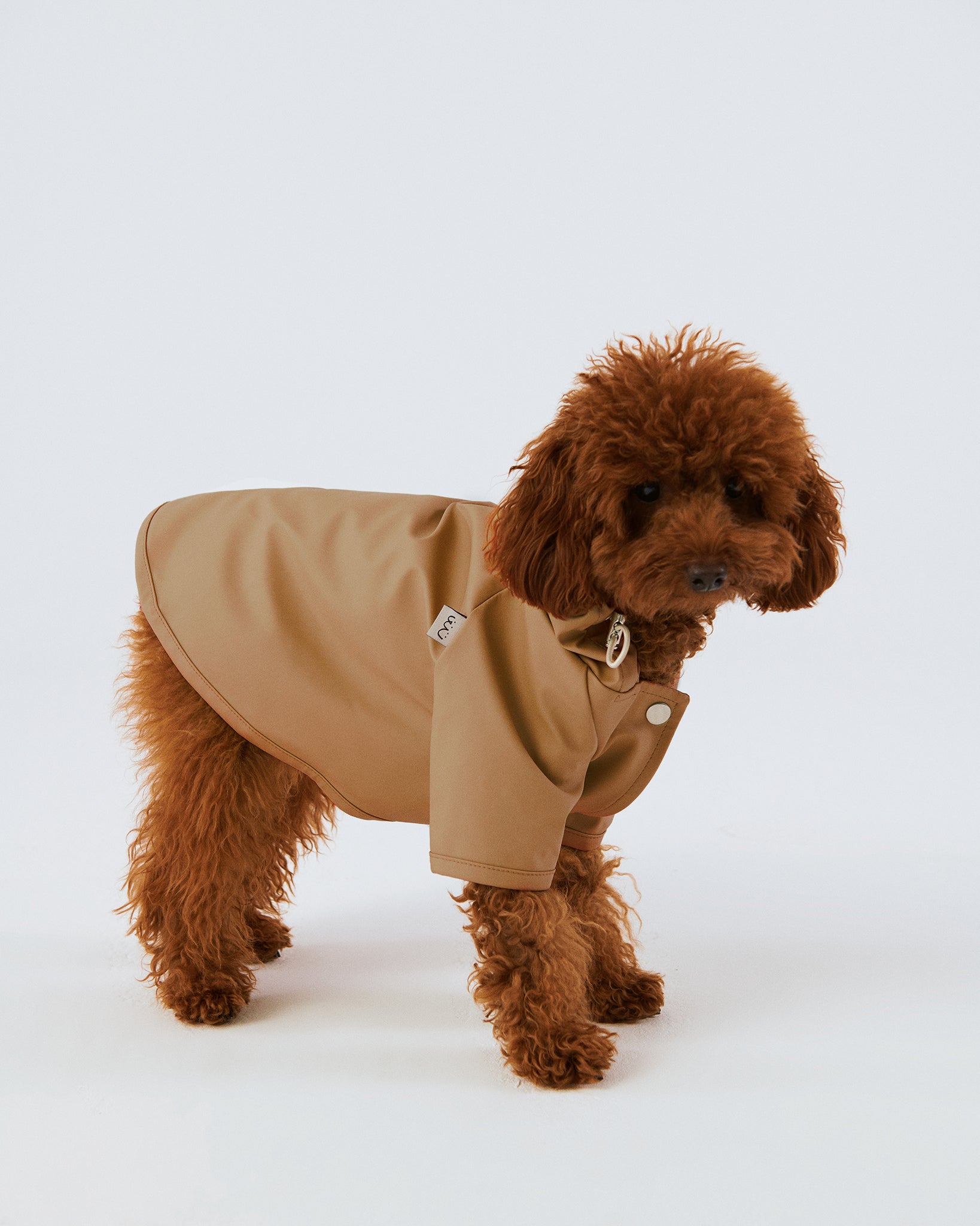 Bruno Signature Köpek Yağmurluk - Desert Camel