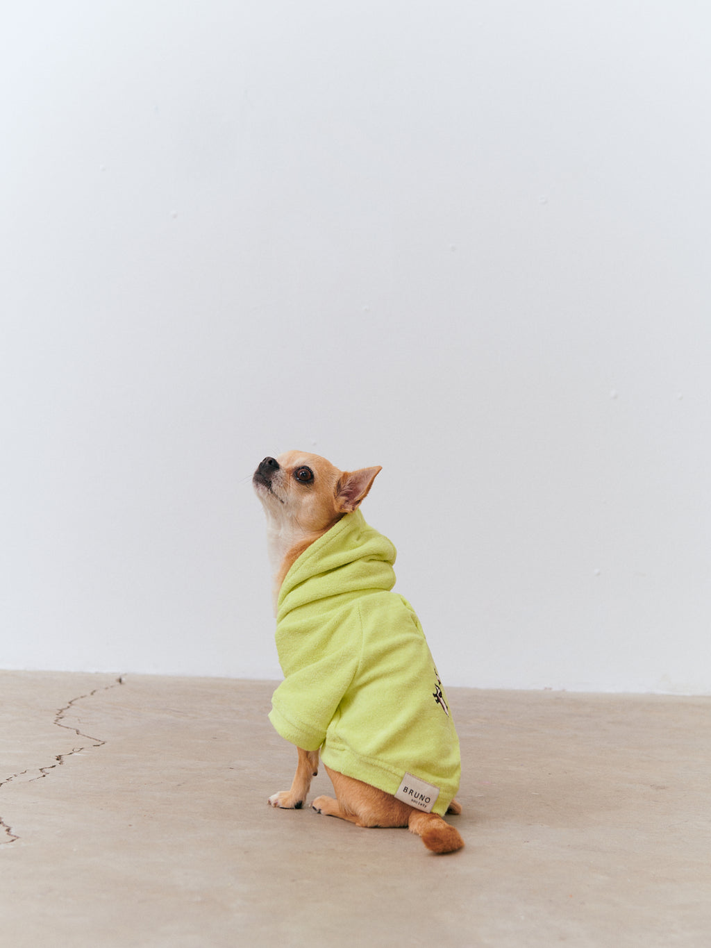 Köpek Havlu Hoodie - Lime