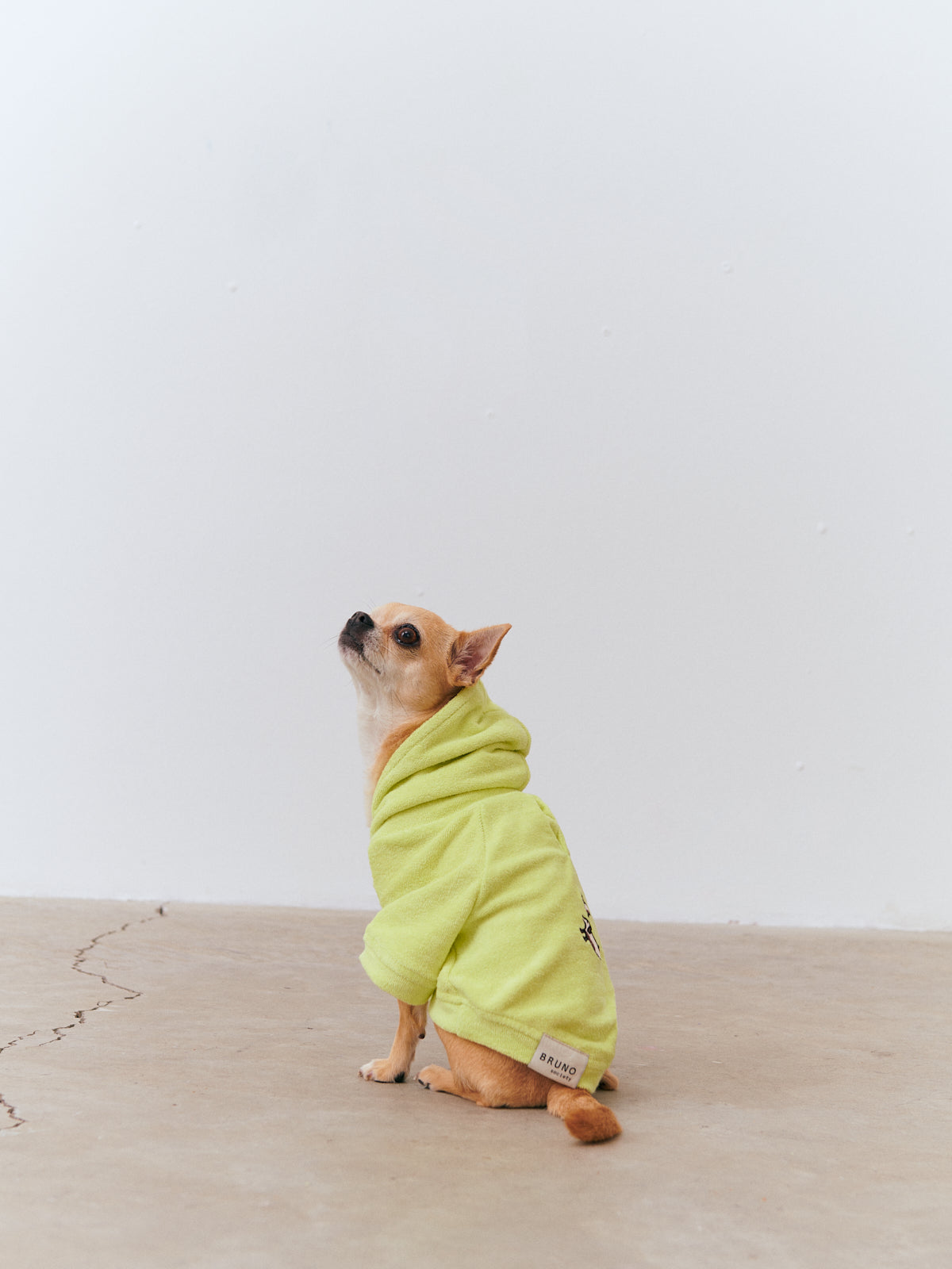Köpek Havlu Hoodie - Lime