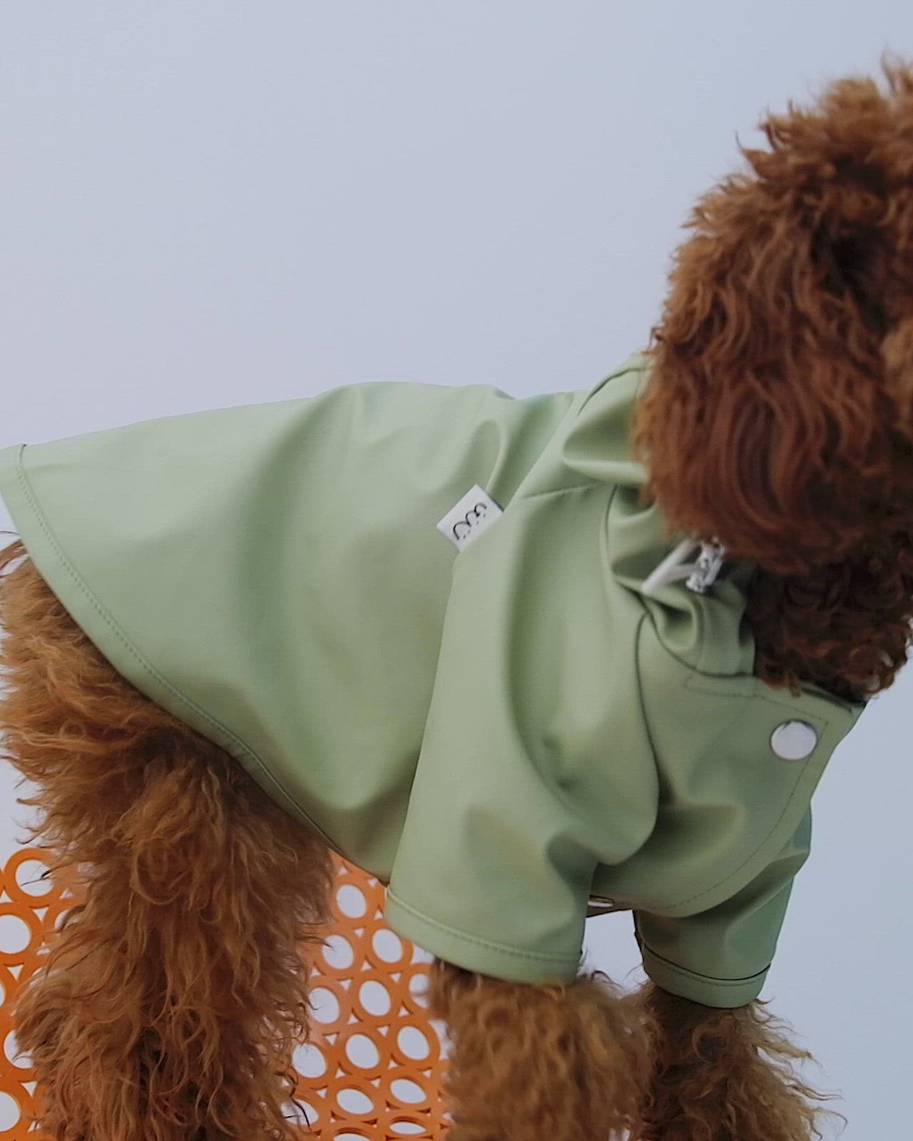 Bruno Signature Köpek Yağmurluk - Matcha Green